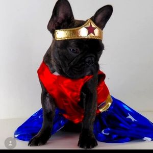 NWT MEDIUM Wonder Woman Dog Costume